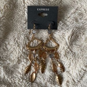 Express Earrings